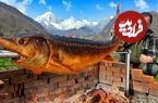 ببینید؛ غذای روستایی در آذربایجان؛ کباب کردن ماهی خاویاری بزرگ در طبیعت