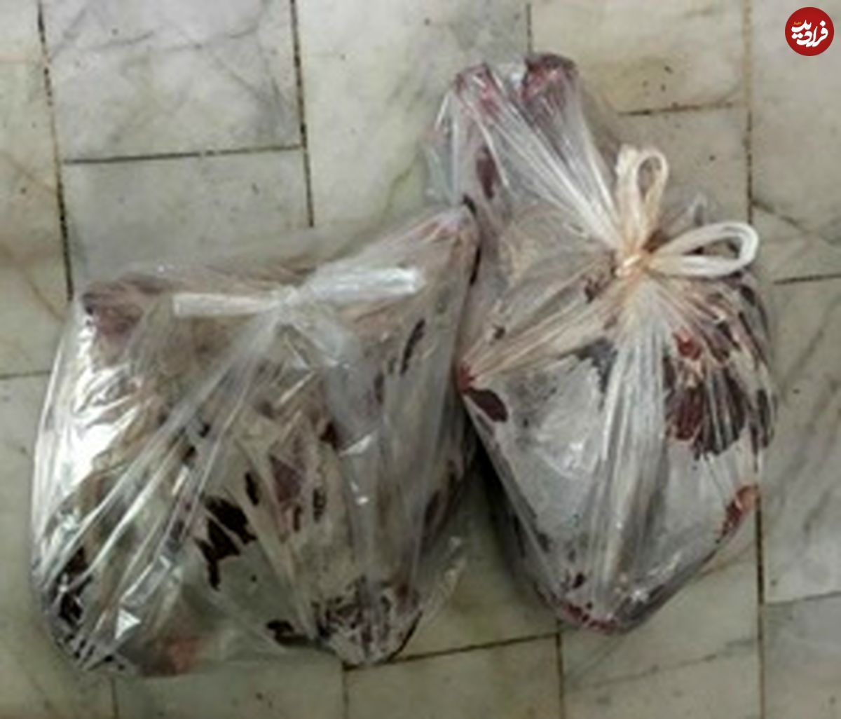 کشف لاشه قوچ وحشی در مغازه قنادی در تهران
