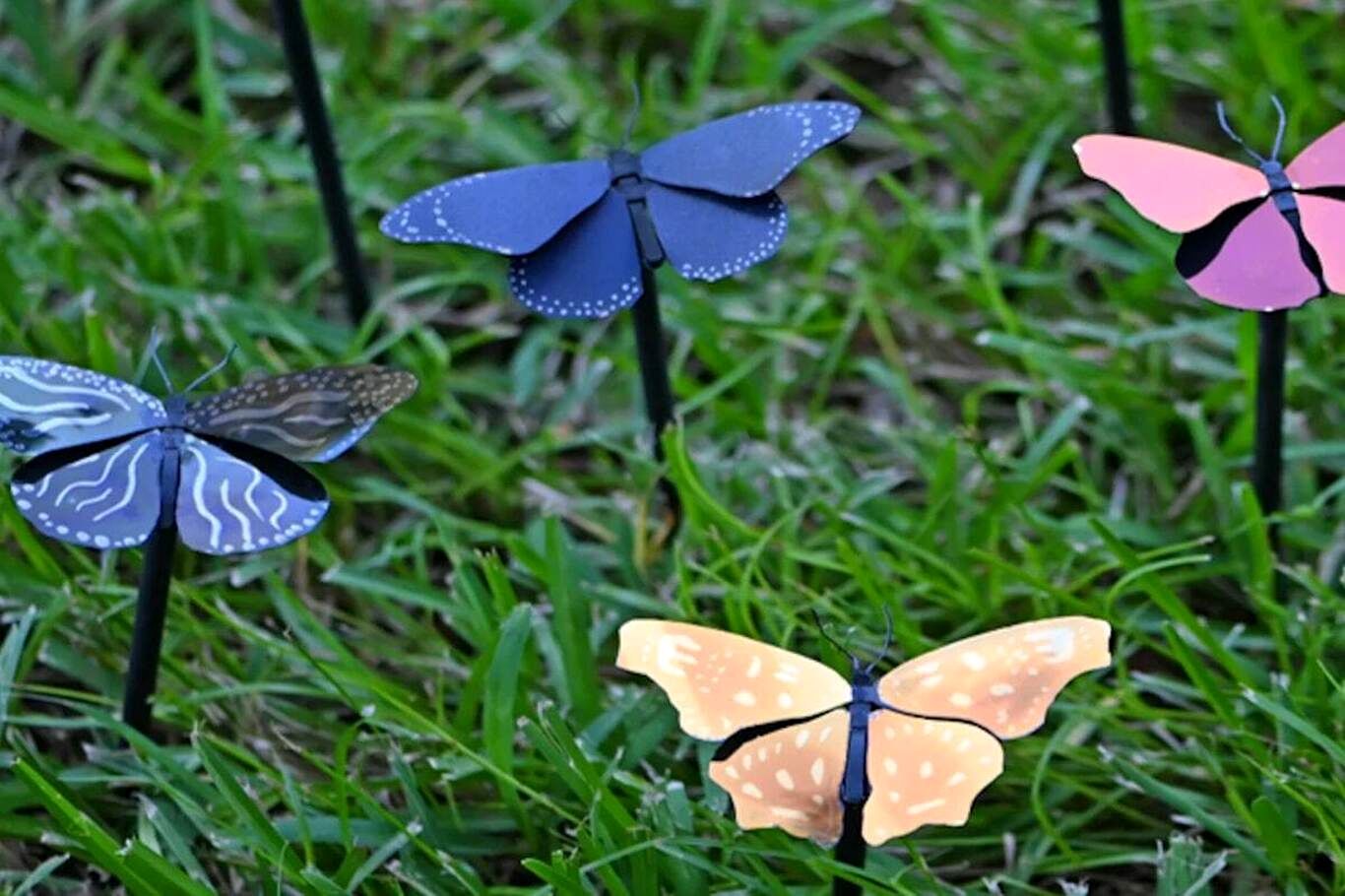 ساختن سبک‌ترین رنگ جهان با الهام از بال‌های پروانه