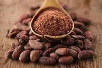 چگونه بهترین شکلات دنیا از لمور‌ها محافظت می‌کند؟