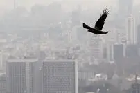 دردسر‌های تمام نشدنی آلودگی هوا