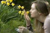 بو‌های مطبوع چه تاثیری در تصمیم‌گیری دارند؟