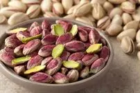این محصول کشاورزی ایران، بیشترین صادرات را دارد!