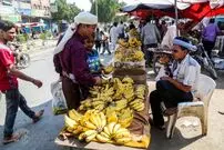 سور در میان قحطی