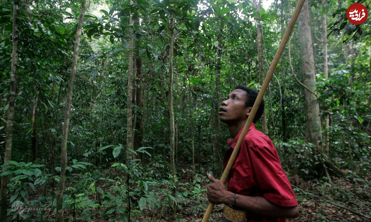 بیماری مرموز مرگبار در آخرین قبیله بومی مالزی