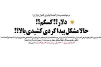 گنده‌لات‌ها وارد بازار دلار شدند!