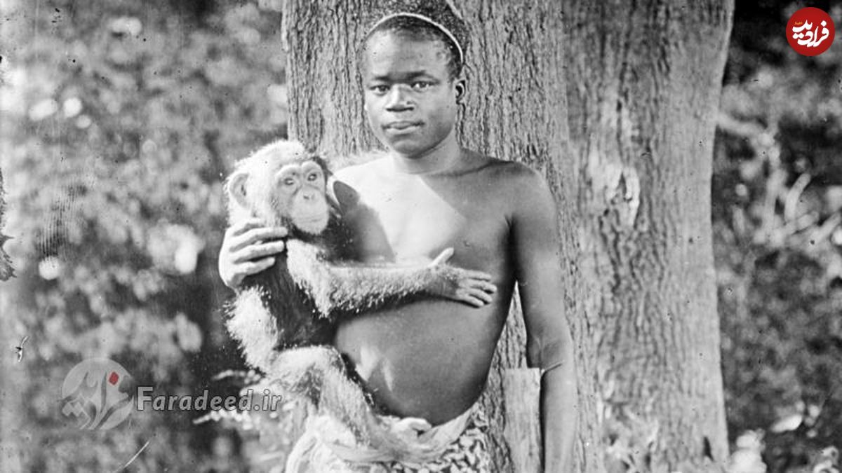 نمایش مرد آفریقایی در قفس میمون‌ها