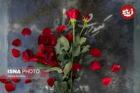 تصاویر| برای هنرمندان سینما و تئاتری که در ۱۴۰۴ از دست دادیم