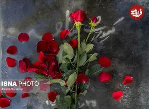 تصاویر| برای هنرمندان سینما و تئاتری که در ۱۴۰۴ از دست دادیم