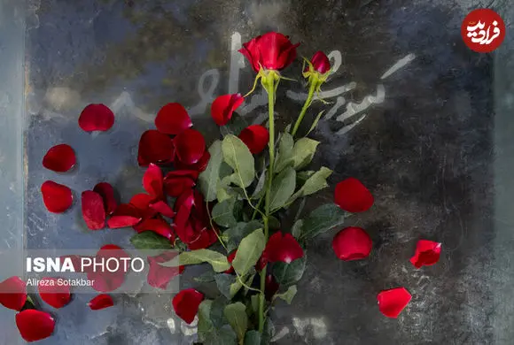 تصاویر| برای هنرمندان سینما و تئاتری که در ۱۴۰۴ از دست دادیم