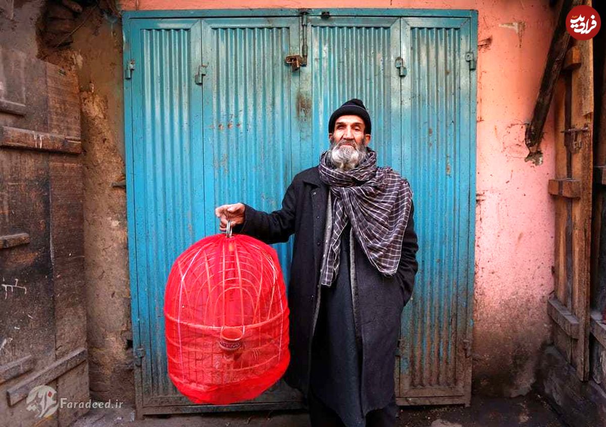 تصاویر/ بازار پرندگان کابل