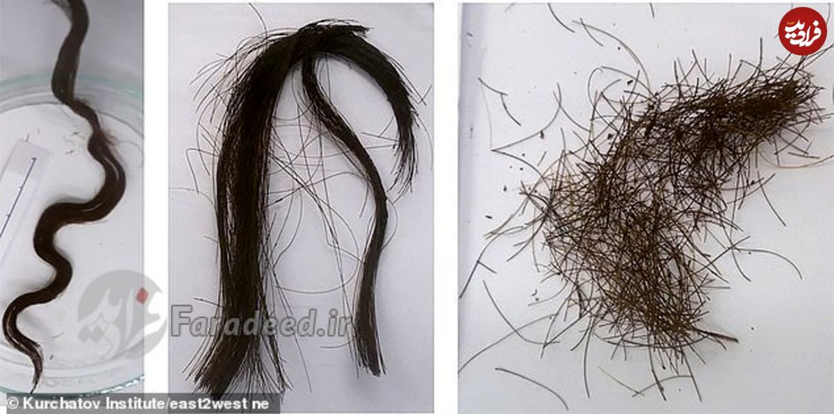 نسخه ۳۰۰۰ ساله برای مراقبت از مو
