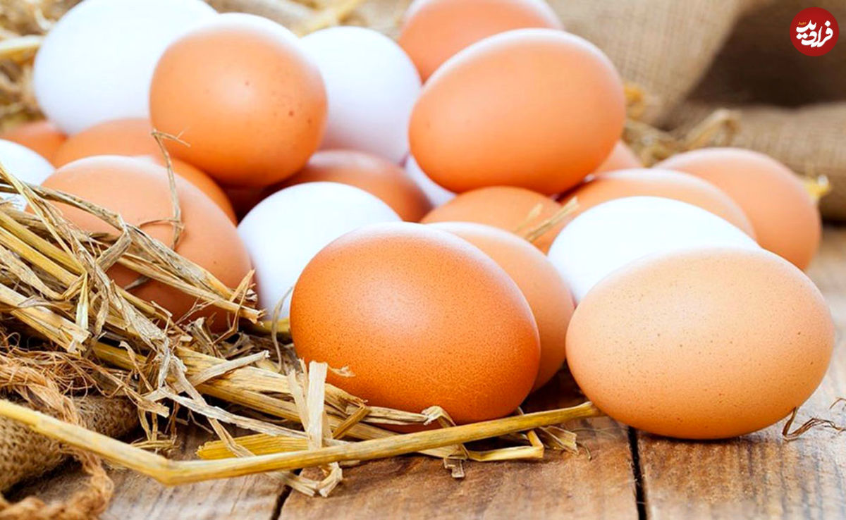 ۹ باور اشتباه و رایج درباره تخم‌مرغ