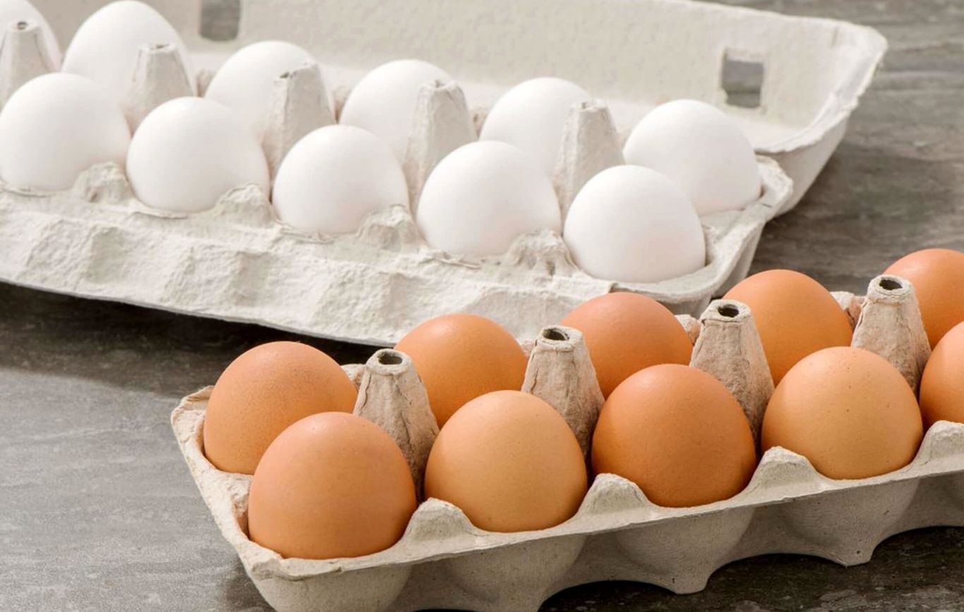 چرا تخم‌مرغ‌های رنگی خواص بیشتری دارند؟