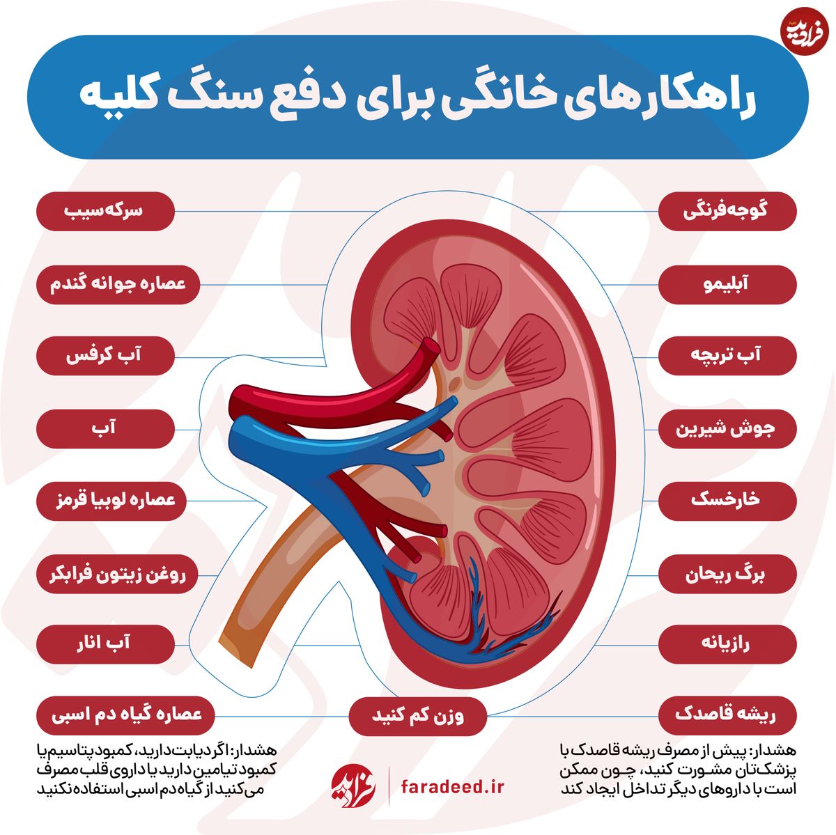اینفوگرافی/ راهکار‌های خانگی برای دفع سنگ کلیه