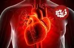 کشف شواهد جدید از قدرت خود-بازسازی قلب