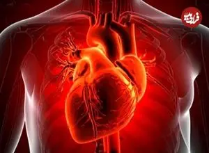 کشف شواهد جدید از قدرت خود-بازسازی قلب