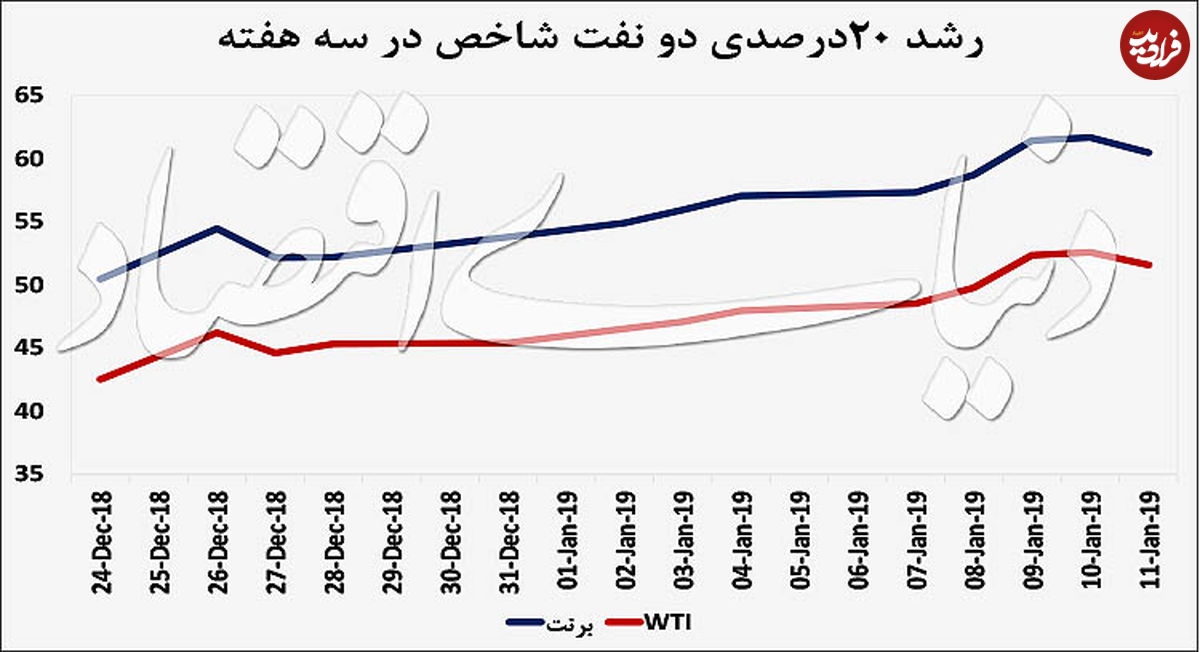 خروج خرس‌ها از بازار نفت