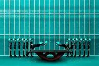 تصاویر/ برندگان جوایز "عکس خلاق ۲۰۲۰"