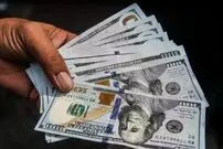 پیش‌بینی یک فعال اقتصادی از قیمت ارز؛ دلار به چقدر می‌رسد؟