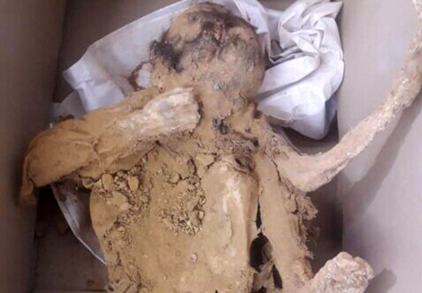 کشف اجسادِ ظاهرا مومیایی در ایران