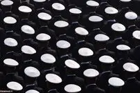 از قربانی گردباد تا وحشت از تیراندازی