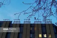 (تصاویر) نجات جان دختر جوان از خودکشی به دست نیرو‌های امدادی