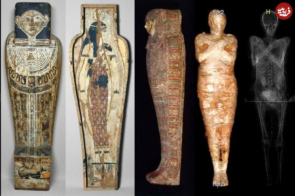 کشف مومیایی زن باردار مصری