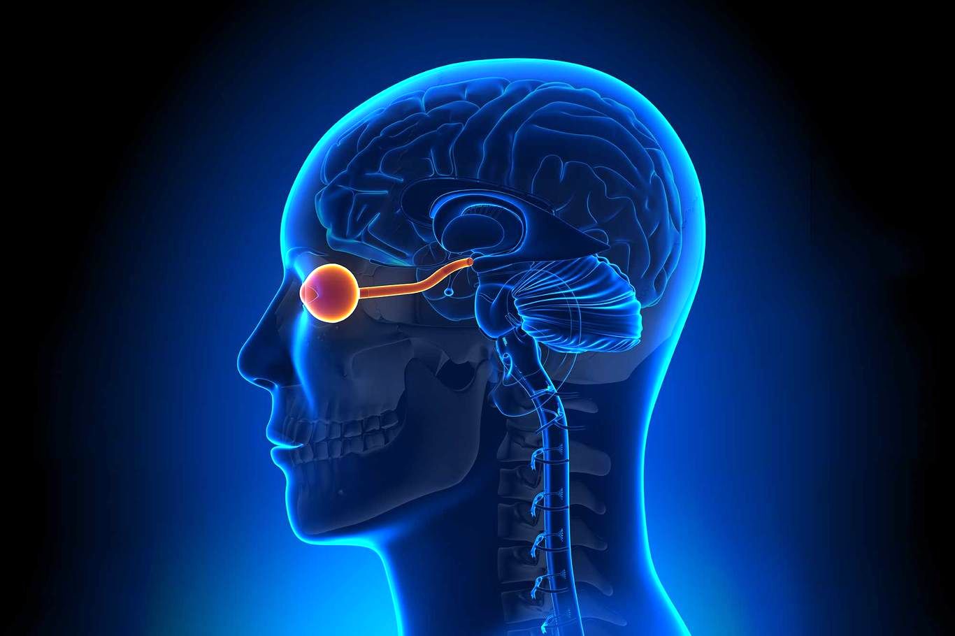 بازیابی بینایی با ایمپلنت‌های چشمی و مغزی