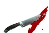قتل پسر ثروتمند با توطئه یک مادر و دختر