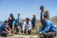 تصاویر/ عید مردگان در سوادکوه