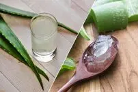 مزایای آلوئه ورا: افزایش شفافیت و طراوت پوست