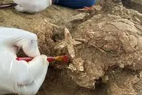 کشف گوشواره‌های کوارتز سبز در گور‌های تاریخی