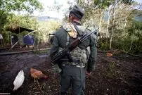 از آرامش پیش از حمله کوسه تا بمباران گوجه‌فرنگی