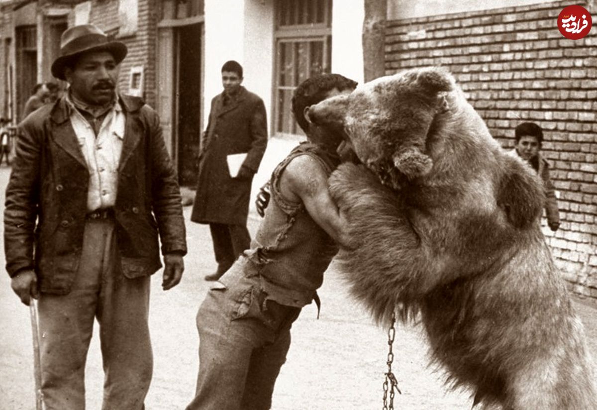 عکس‌های دیدنی از کشتی گرفتن با خرس در تهران قدیم!