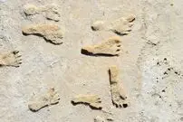 اولین آمریکایی‌های تاریخ چه کسانی بودند؟