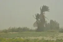 هواشناسی ایران، امروز ۱۴۰۱/۰۴/۰۷