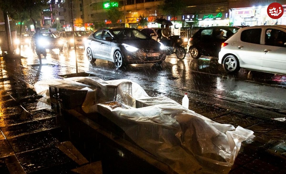 تصاویر/ باد و باران در تهران