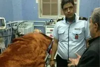 جزئیاتی از تصادف سهمگین نماینده تهران