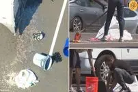 (ویدئو) دزدی عجیب و غریب یک میلیون سکه از کامیون حمل سکه