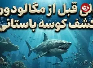 ۱۵ میلیون سال پیش از مگالودون، این کوسه باستانی غول‌پیکر در اقیانوس‌ها حکمرانی می‌کرد