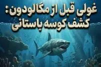 ۱۵ میلیون سال پیش از مگالودون، این کوسه باستانی غول‌پیکر در اقیانوس‌ها حکمرانی می‌کرد