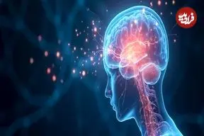 کشف تازه دانشگاه شیکاگو؛ چرا لحظات احساسی ماندگارترند؟