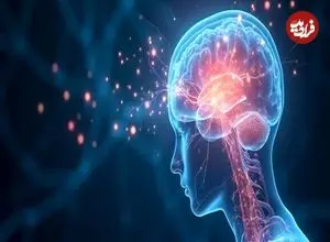 کشف تازه دانشگاه شیکاگو؛ چرا لحظات احساسی ماندگارترند؟