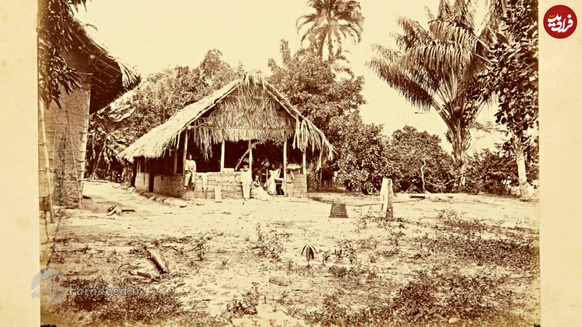 تصاویر/ زندگی در آمازون بیش از ۱۵۰ سال قبل