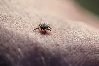 شیوع ویروس مهلک جدید در چین