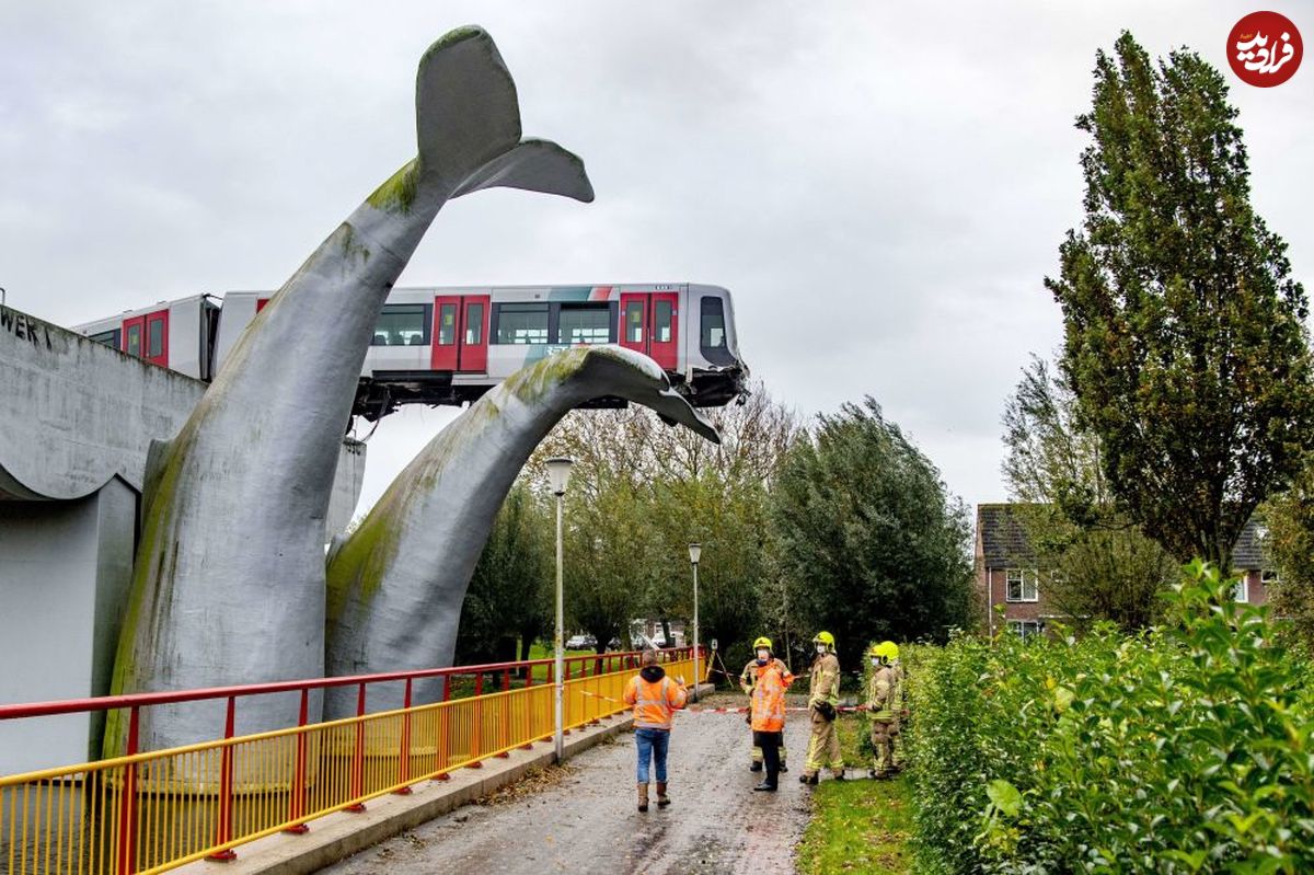 تصاویر/  "دم نهنگ"، یک قطار را از سقوط نجات داد