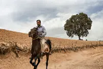 تصاویر/ رویای پرورش اسب
