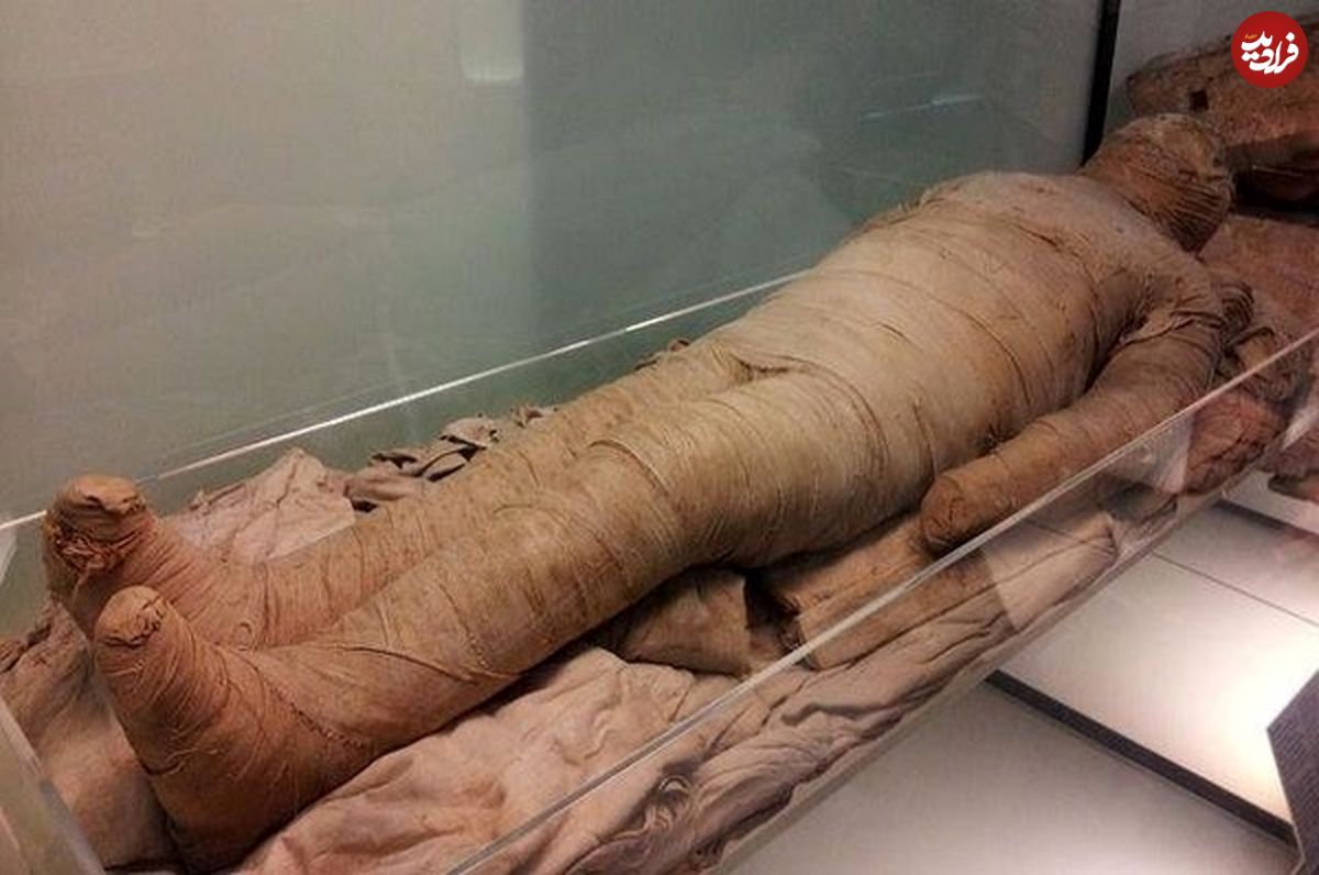 کشف جسد مومیایی شده در سن پترزبورگ