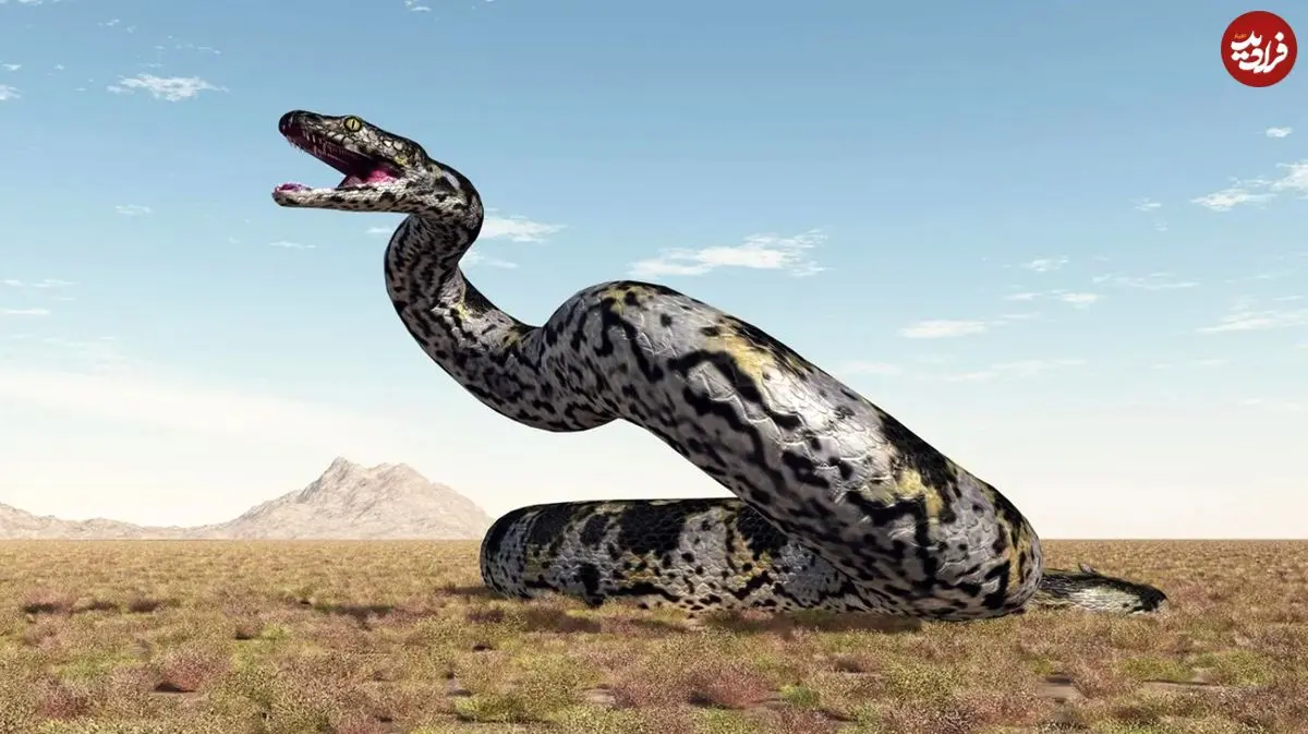 مار غول‌پیکری که بعد از دایناسورها در زمین پادشاهی می‌کرد